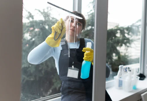 Nettoyage de vitres intérieures et extérieures à Saint-André-de-Messei